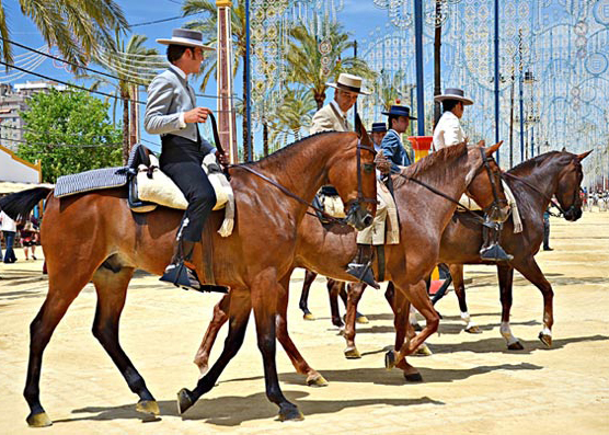 Féria avec chevaux, typique de la culture andalouse