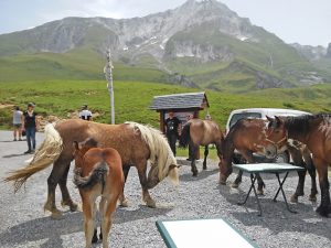 pause col Pyrénées lors de ce voyage moto