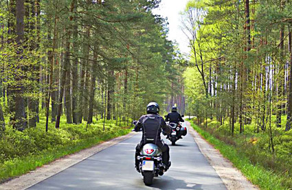 Motos roulant sur une route au coeur d'une forêt de sapins en Suède