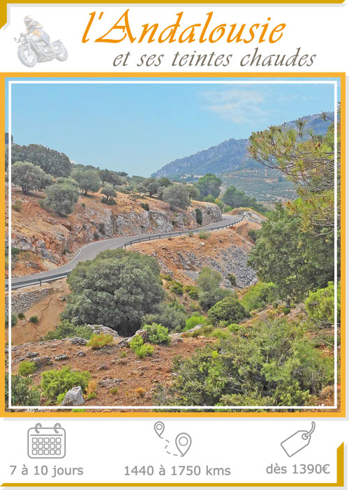 Etiquette illustration du voyage moto en Andalousie Espagne : route qui serpente au milieu des champs d'oliviers