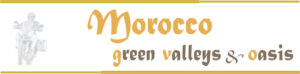 Logo Motorcycle Tour Morocco