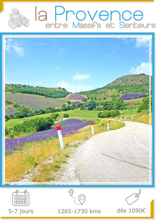 Etiquette illustration du voyage moto France Provence : une belle courbe au milieu des champs de lavande